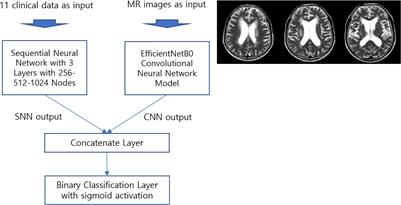 Deep Learning Algorithm Trained on Brain Magnetic Resonance Images and Clinical Data to Predict Motor Outcomes of Patients With Corona Radiata Infarct